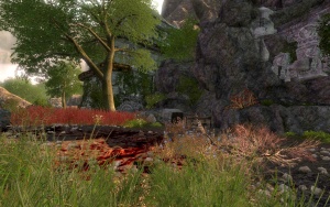 Old Three River Camp