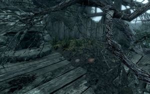 EN-Places-Unamrked Shack2.jpg