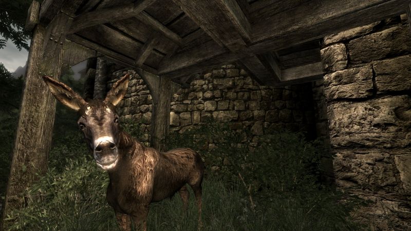 File:20251118162822!EN-Quest-Gnarldalf has to die 02.jpg