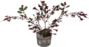 320px-EN-Placeable-Holly (Potted).png