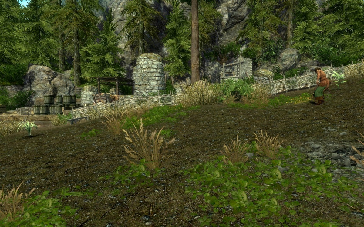 Enderal:Field near the Mill - SureAI Wiki