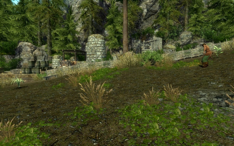 File:EN-Places-Field near the Mill1.jpg