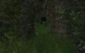 Thumbnail for version as of 16:34, 18 November 2025