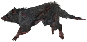 320px-EN-CREATURE-Rat.png