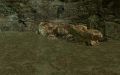 Thumbnail for version as of 16:34, 18 November 2025
