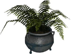 400px-EN-Placeable-Fern.png