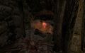 Thumbnail for version as of 16:35, 18 November 2025
