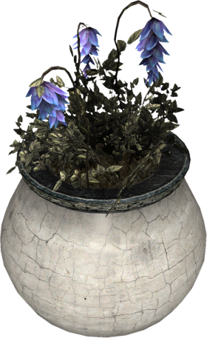 20251118162841!EN-Placeable-Baldris Root.png