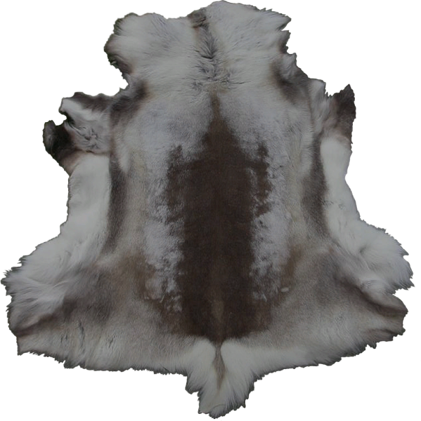 File:20251118162832!EN-Placeable-Pelt 3.png