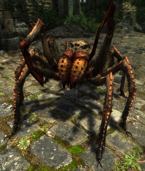 File:20251118162820!EN-Creature-Moss Crawler.jpg