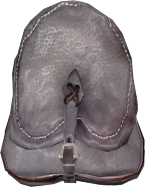 466px-EN-Items-Spacious Backpack.png