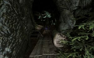 800px-EN-Places-Brownrock Cave1.jpg