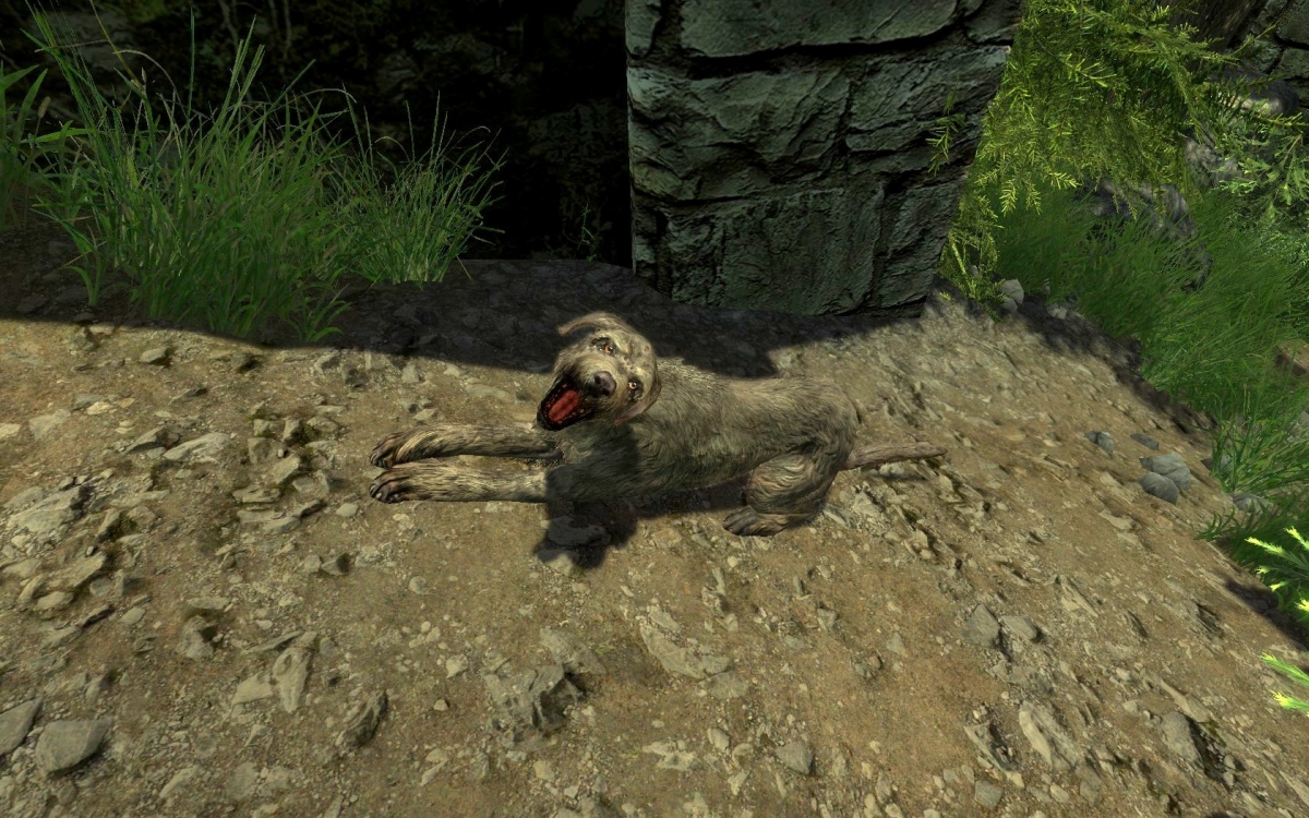 Enderal:Dogs - SureAI Wiki